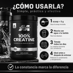 Creatina Platinum Muscletech 80 SV