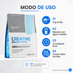 Creatina Monohidratada Ostrovit  100serv - 500g ⚡